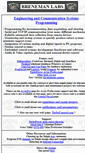 Mobile Screenshot of brenemanlabs.com